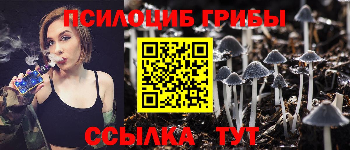 Псилоцибиновые грибы ЛСД Печора