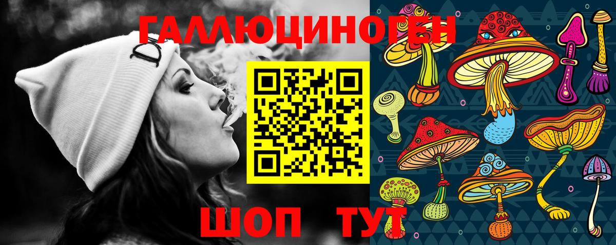 Псилоцибиновые грибы Psilocybe  Псилоцибиновые грибы GOLDEN TEACHER  Печора  Вход с VPN 